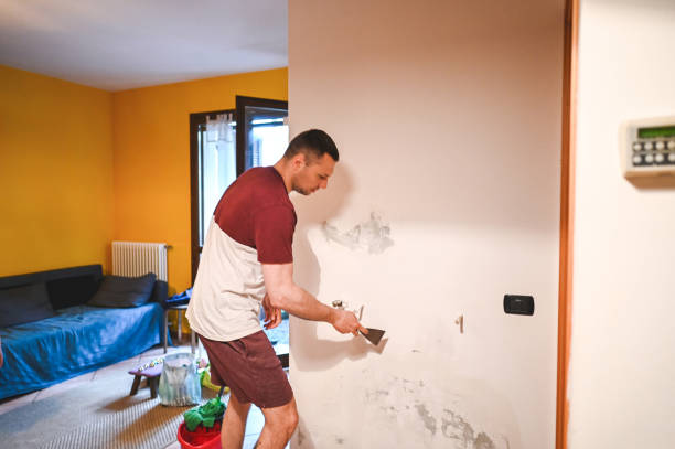 Best HVAC Mold Remediation in Panama, OK